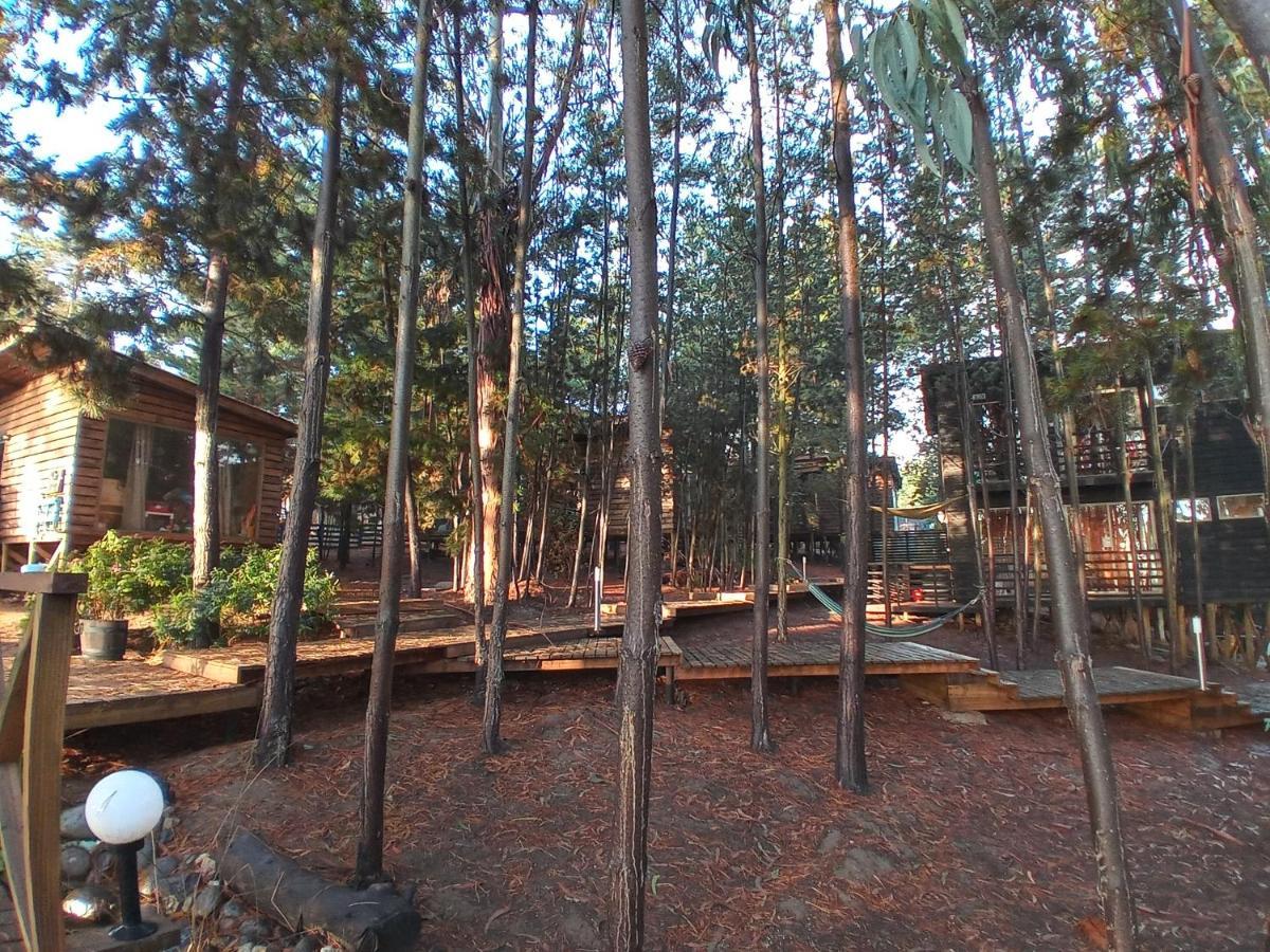 Lodge Terra Mar Пичилему Экстерьер фото